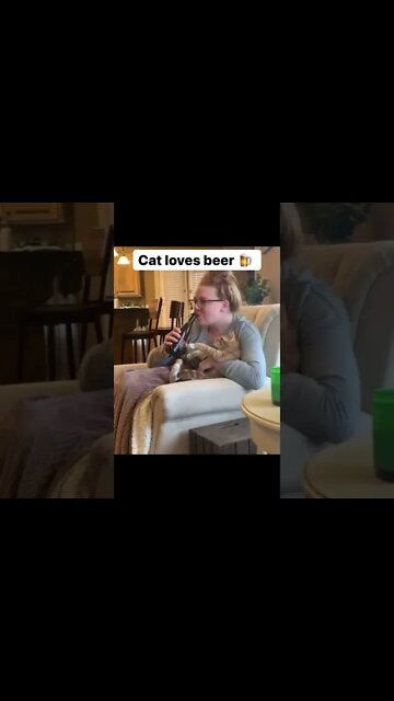 CAT LOVES BEER 🍺