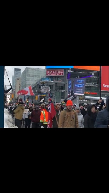 Toronto Freedom Protest