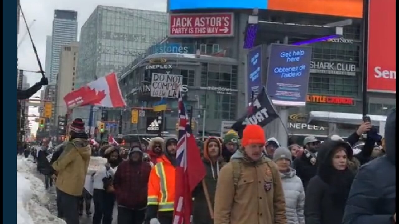 Toronto Freedom Protest