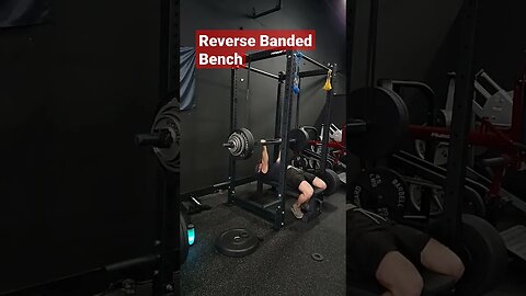 Build Your Bench Lockout #benchpress #shorts #triceps #chest #triceps #arms #powerlifting #gym #fit