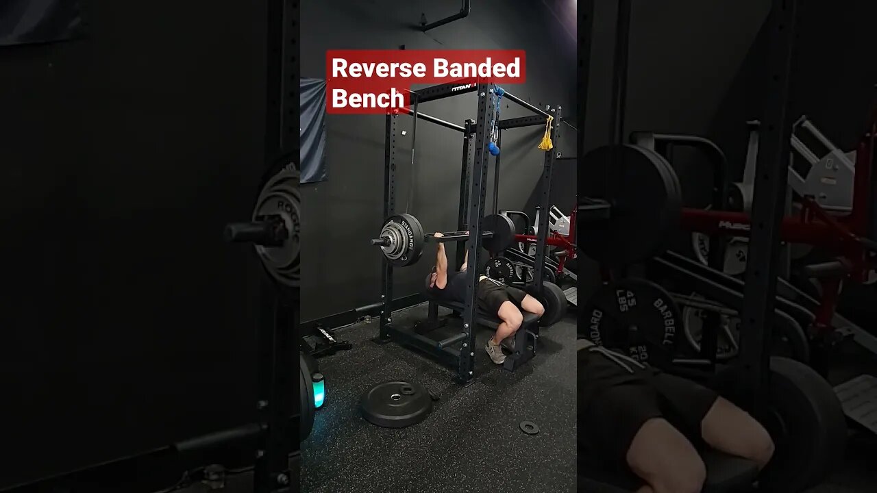 Build Your Bench Lockout #benchpress #shorts #triceps #chest #triceps #arms #powerlifting #gym #fit