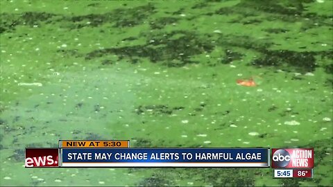 State considering new regulations for toxins created by Blue-Green Algae