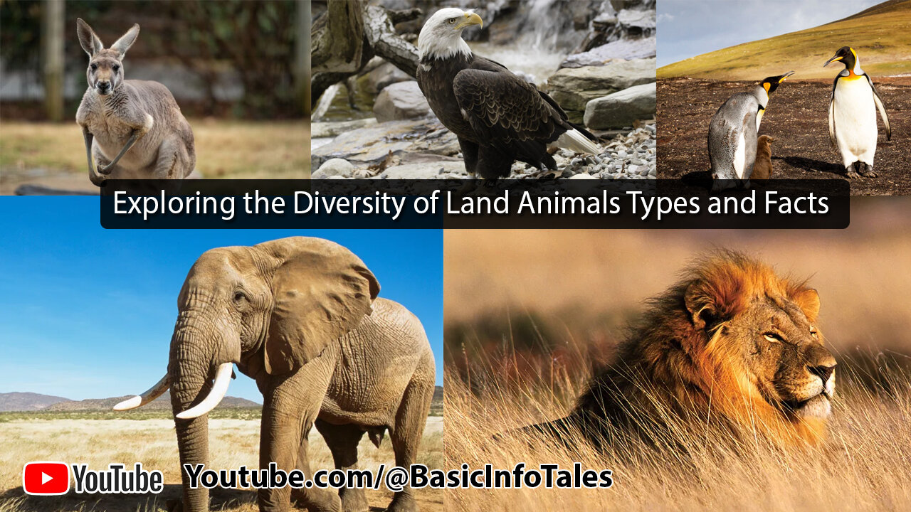 Exploring the Diversity of Land Animals: Types and Facts