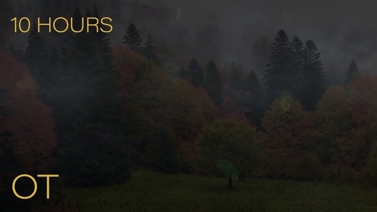 A Blustery Autumn Night in the Trees | Relaxing Wind & Blowing Leaves Ambience | 10 HOURS