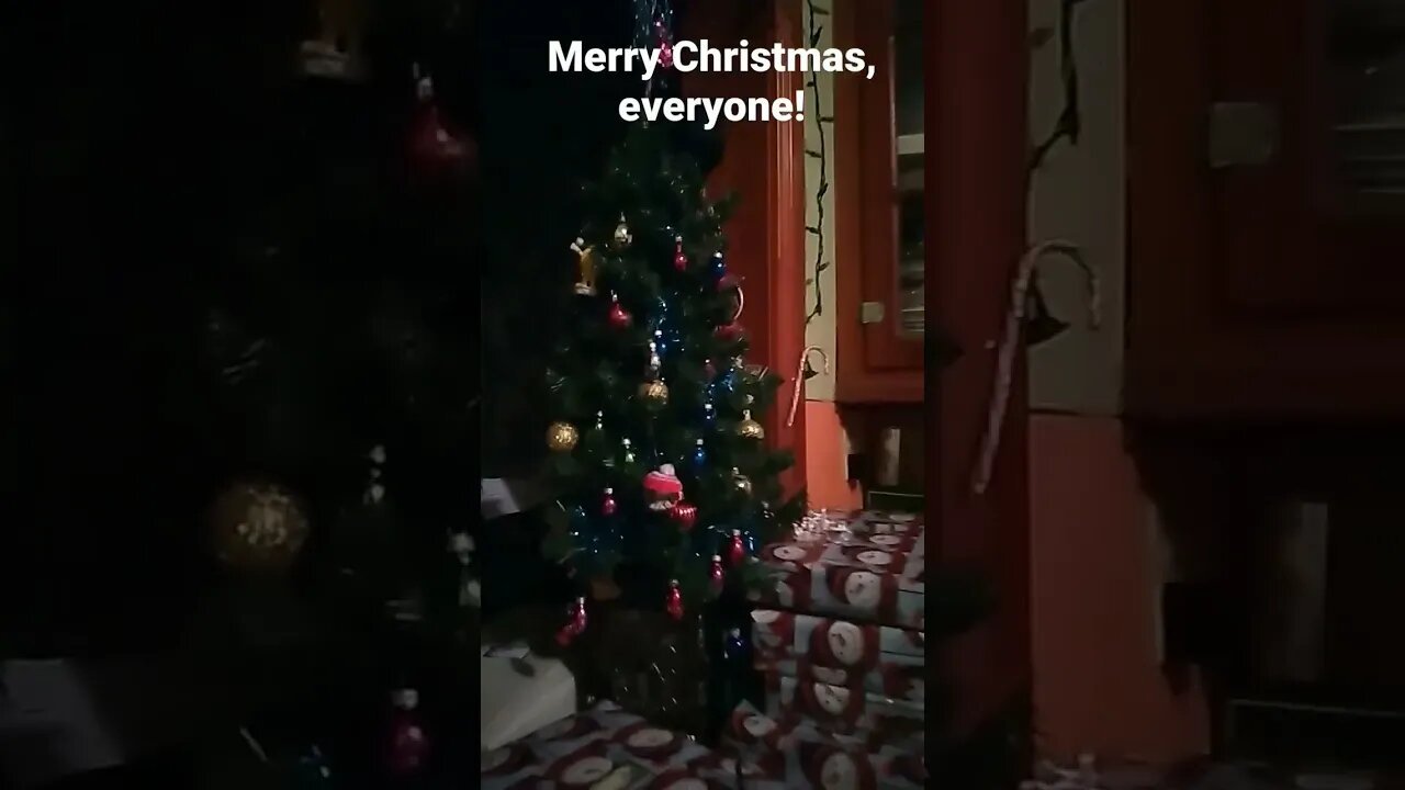 Have a Merry Christmas and a Happy New Year