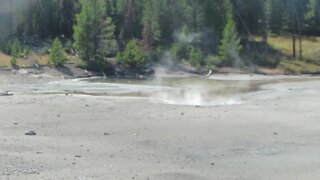 Norris Geyser Basin, Yellowstone