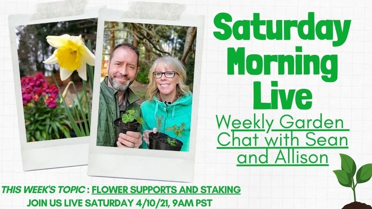 ☕ Saturday Morning LIVE Garden Chat - SGD 363 ☕