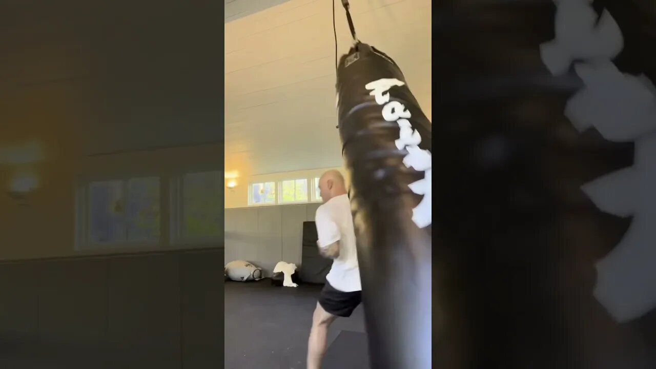 Joe Rogan vs Boxing Bag