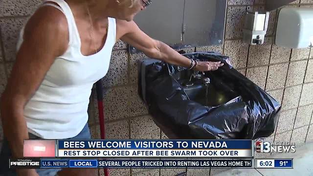 Rest stop overrun by swarm of bees