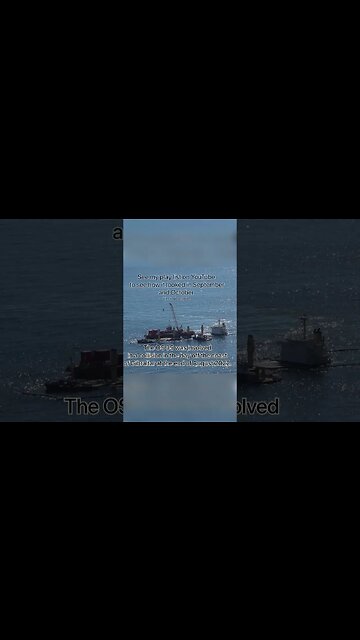 Bulk Carrier OS 35 #shorts