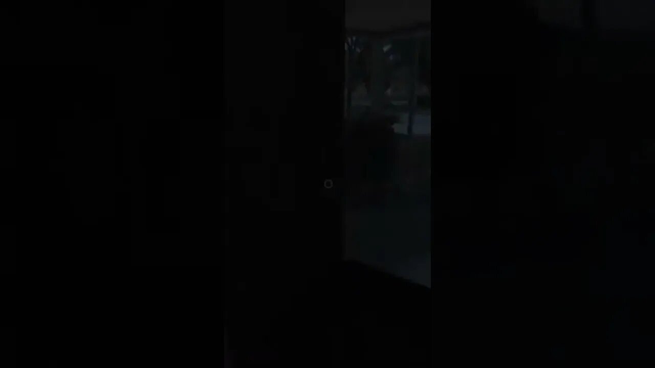 When You Thought The Coast Was Clear