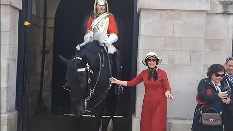 Guard tells second tourist from the same group not to touch the reins #horseguardsparade