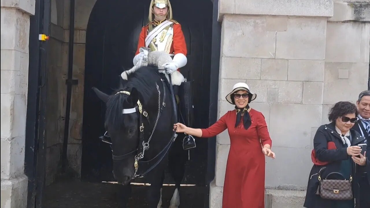 Guard tells second tourist from the same group not to touch the reins #horseguardsparade