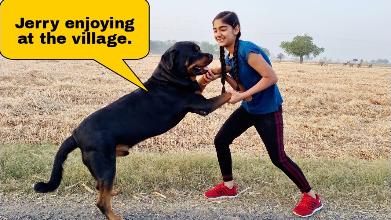 Anshu and Jerry have fun in the village||Jerry's daily routine