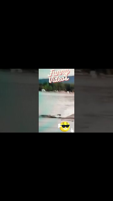 #funny videos#funny moments #shorts