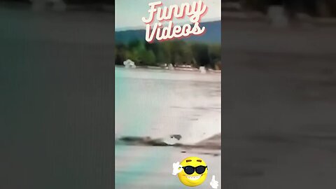 #funny videos#funny moments #shorts