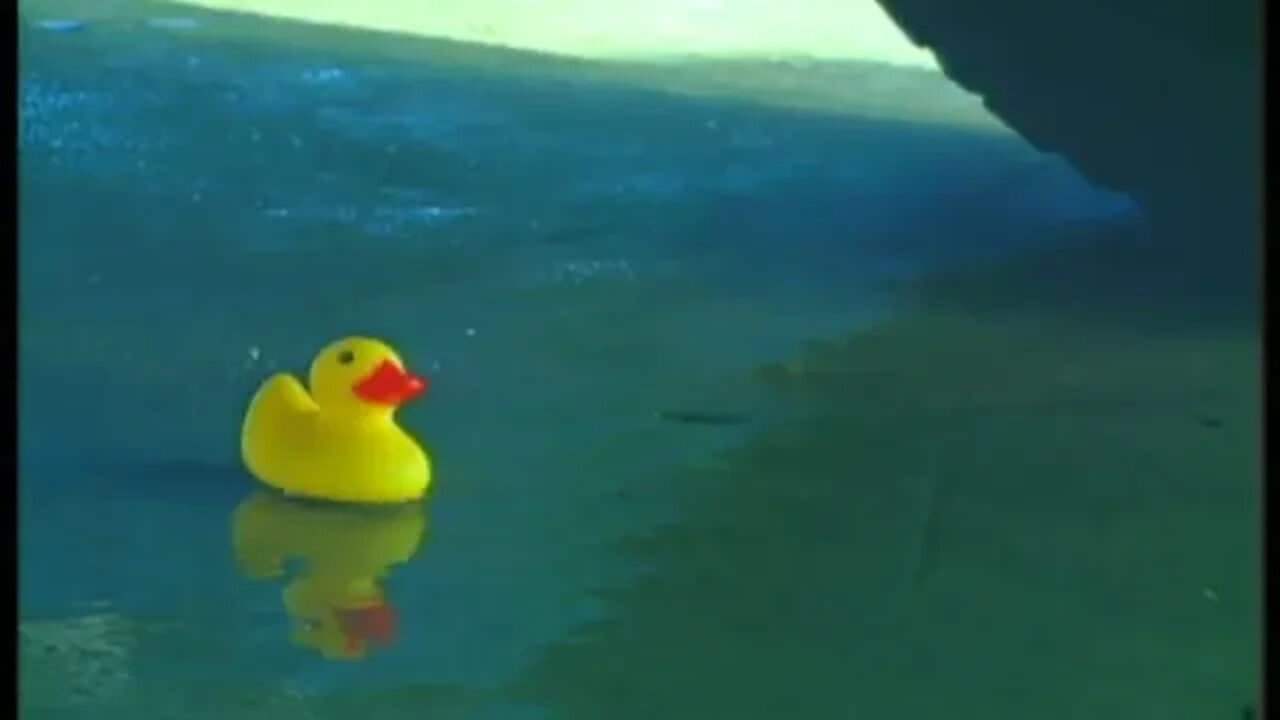 If Stomwater Pollution Was Rubber Duckies
