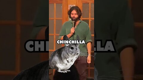 His gf has a HAIRY CHINCHILLA #comedy #shorts