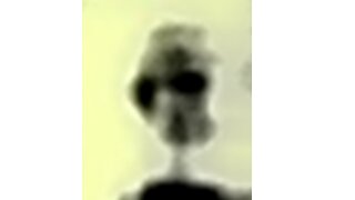 Alien Discovered in Mars Rover Image?