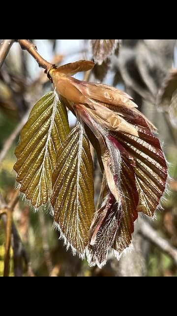The beauty of the spring #summer #weather #nature