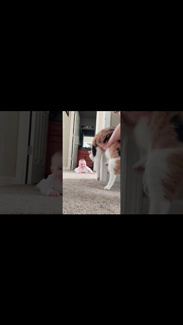 Cute adorable baby 🤩 funny baby playing, laughing, dancing, with mamma at home