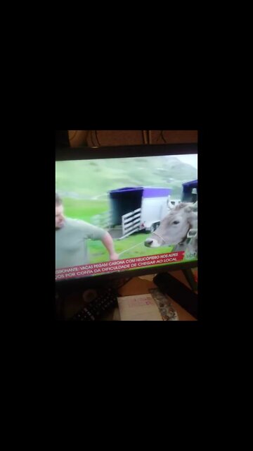 a vaca voadora pt1 #shorts