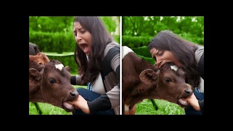Most Funny animals reaction | Girl so angry