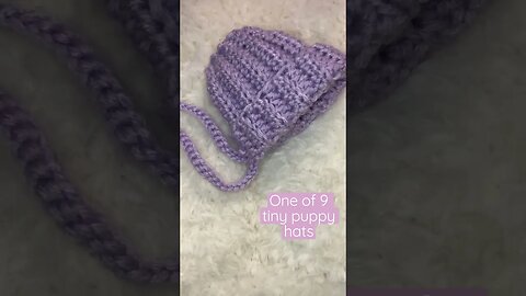 Making crochet hats for baby Golden Retrievers!!