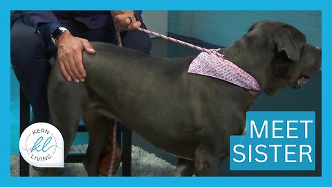 Meet Sister | KERN LIVING