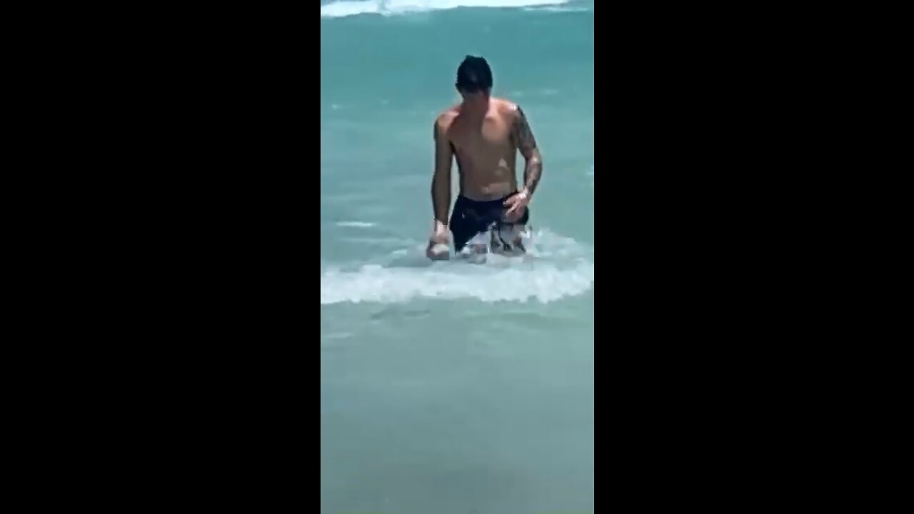 Fish of the sea