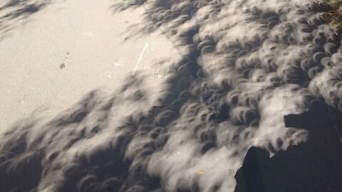 Amazing Eclipse Shadows - Show Tonight!