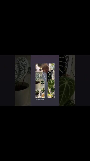 ONE THING EVERY WOMAN WANTS..AGREE OR DISAGREE?