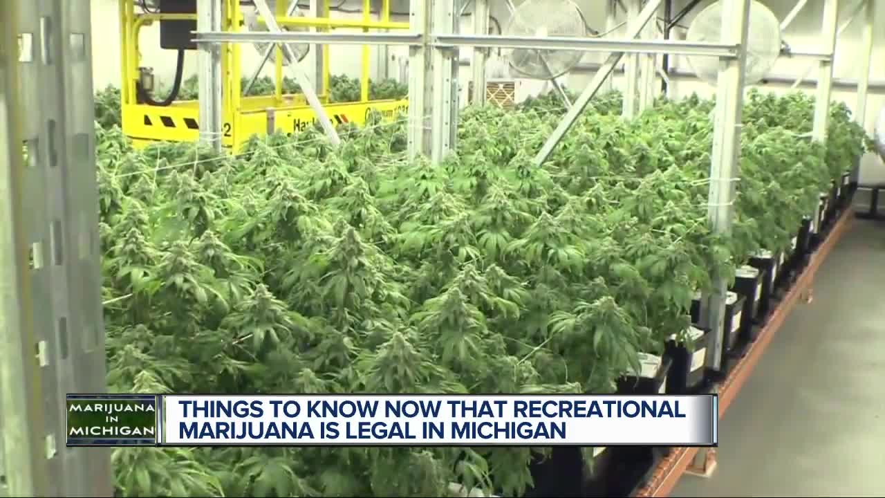 Things to know now that recreational marijuana is legal in Michigan