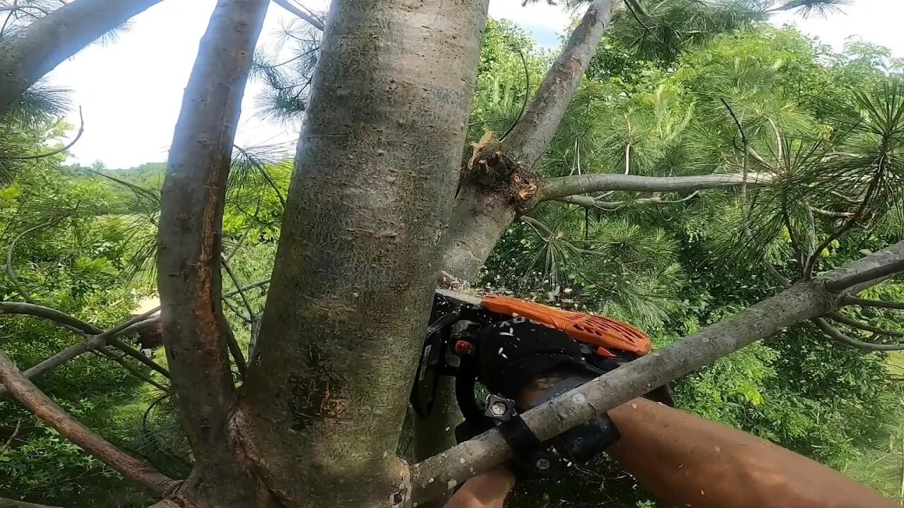 Topping a Quad Pine - First climb since the accident