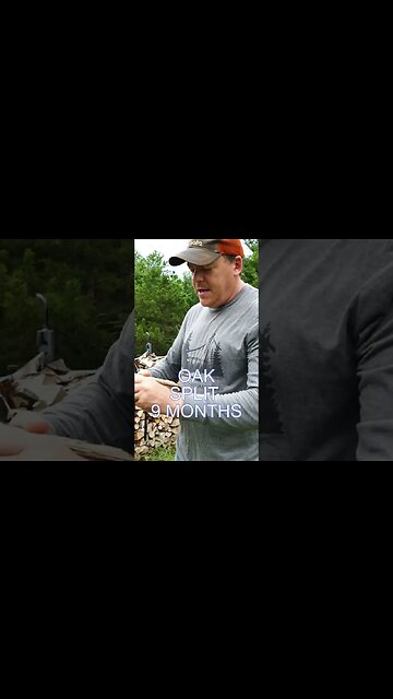 Seasoned Firewood in 4 Months #shorts #firewood