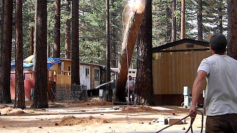 Lake Tahoe 'LumberJacks'...TIMBER!!