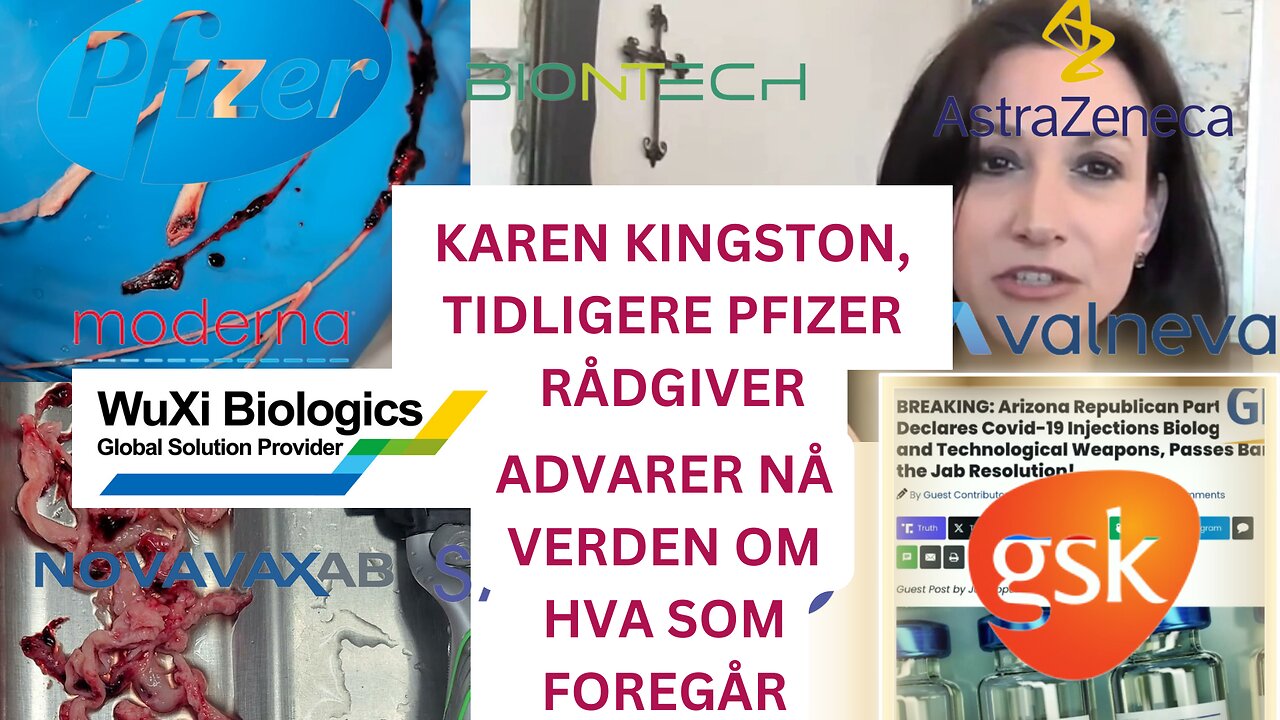 KAREN KINGSTON, TIDLIGERE PFIZER RÅDGIVER: ADVARER NÅ VERDEN OM HVA SOM FOREGÅR