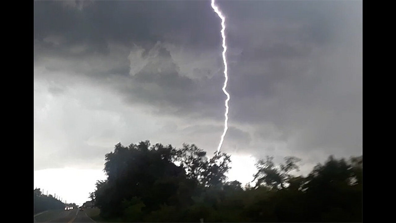 Raining Cats and Dogs in Winter Garden, Florida