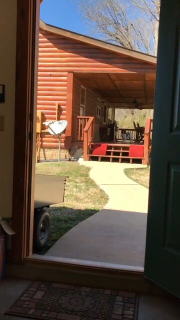 Dixie not liking the wind