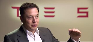 Elon Musk creates new 'king' title for himself