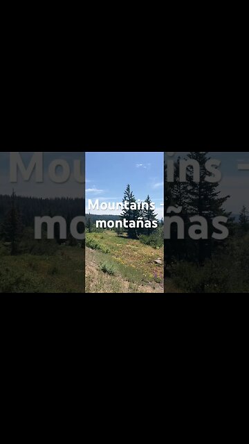 Pacific Northwest & nature