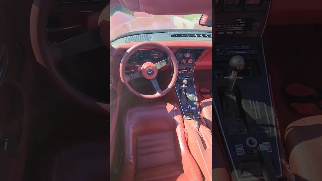 Automatic or Manual Trans? #cars #transmission #shift #cruise