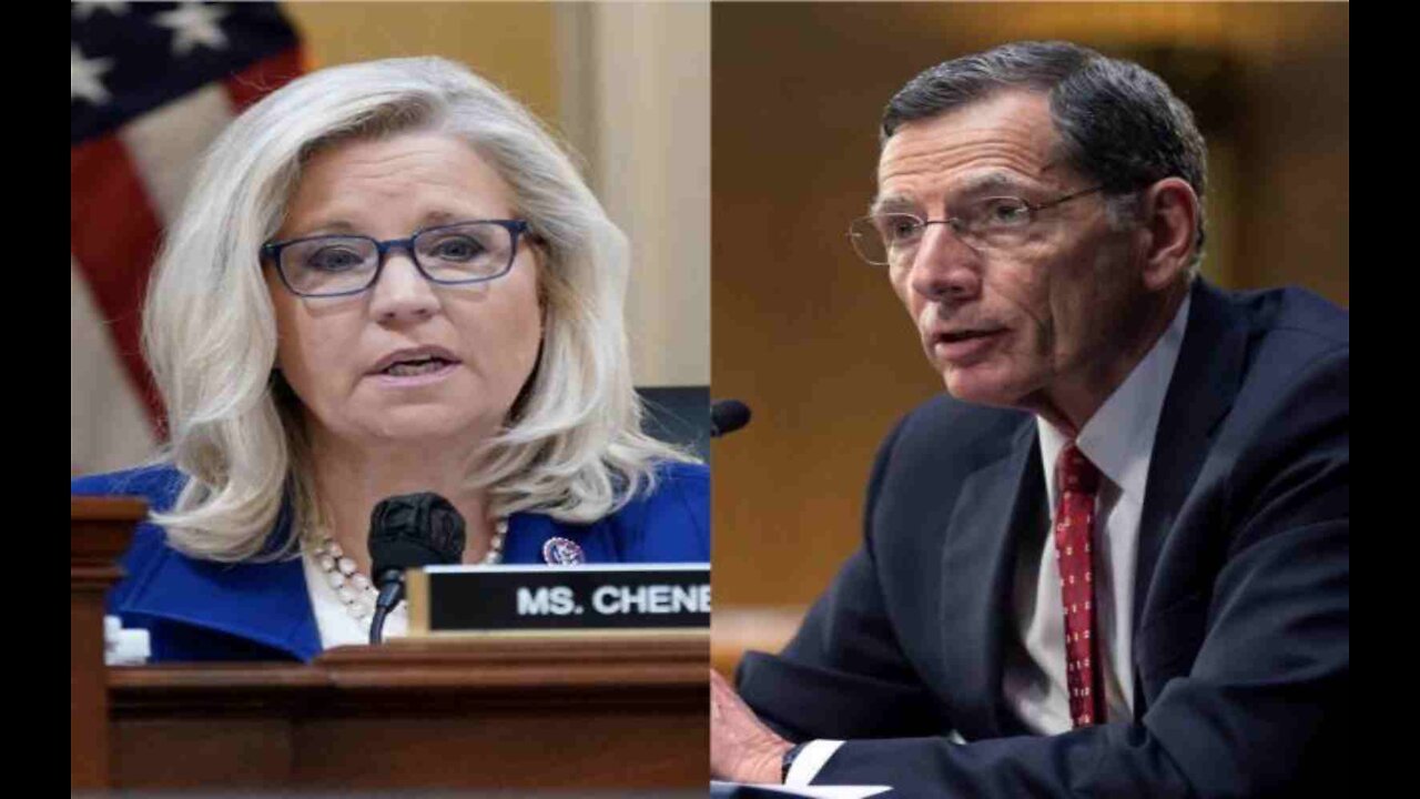 Wyoming Senator Says There Are ‘Not Enough Democrats’ to Help Liz Cheney Win Primary