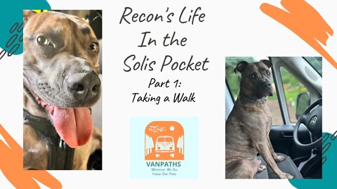 Day in the Life of Our Dog Recon in the Solis Pocket-Part 1