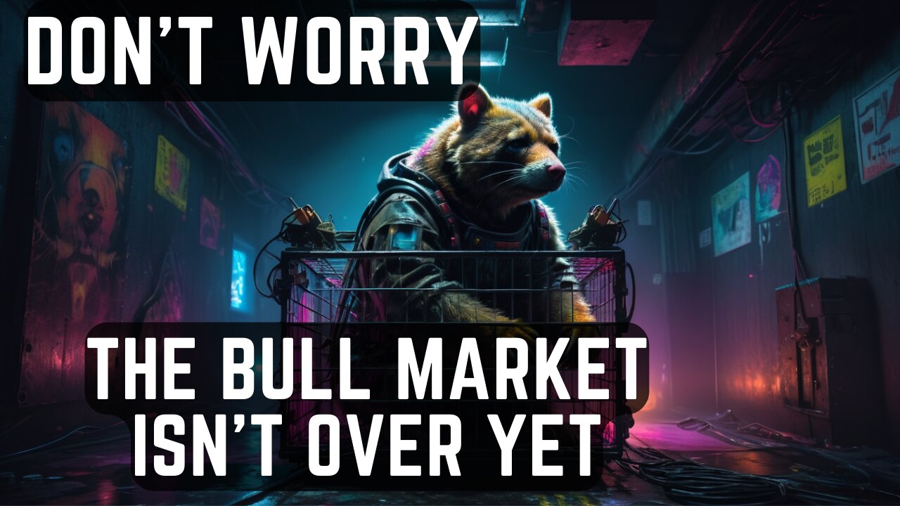 Crypto BEAR TRAP! This BULL MARKET ISNT OVER! Key Support Levels Explained.