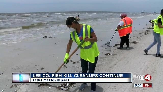 Crews continue dead fish clean-up on beaches