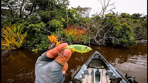 Melhor ISCA para Pesca de robalo na galhada - Snook fishing