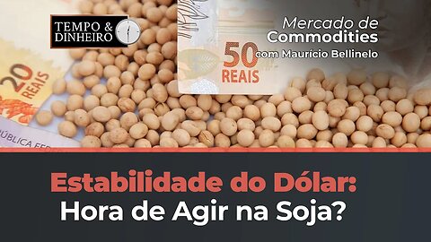 Soja, dólar estável . Momento é de travar? Maurício Bellinelo comenta