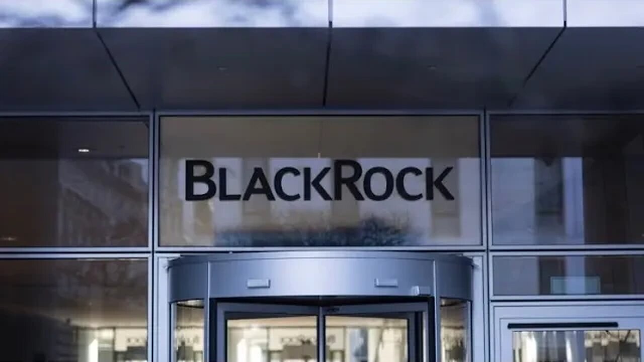 The Company That Owns The World #elite #blackrock