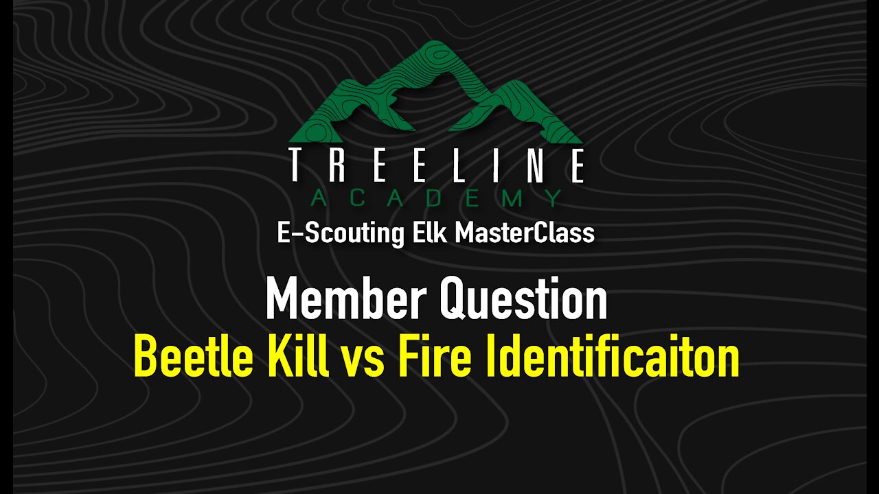 E-Scouting Elk MasterClass Member Question - Beetle Kill vs Fire Zone Identification